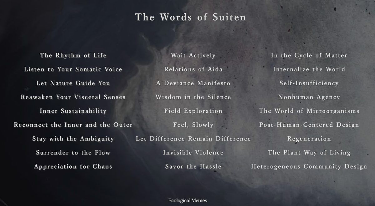 The Words of Suiten — the 27 seeds