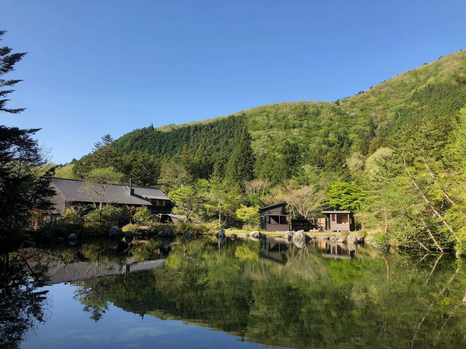 富士山靜養園の湧水池と森