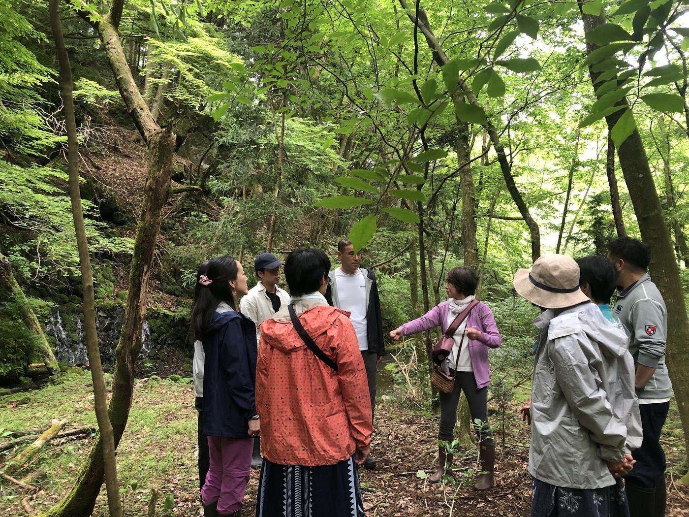 富士の森に佇む