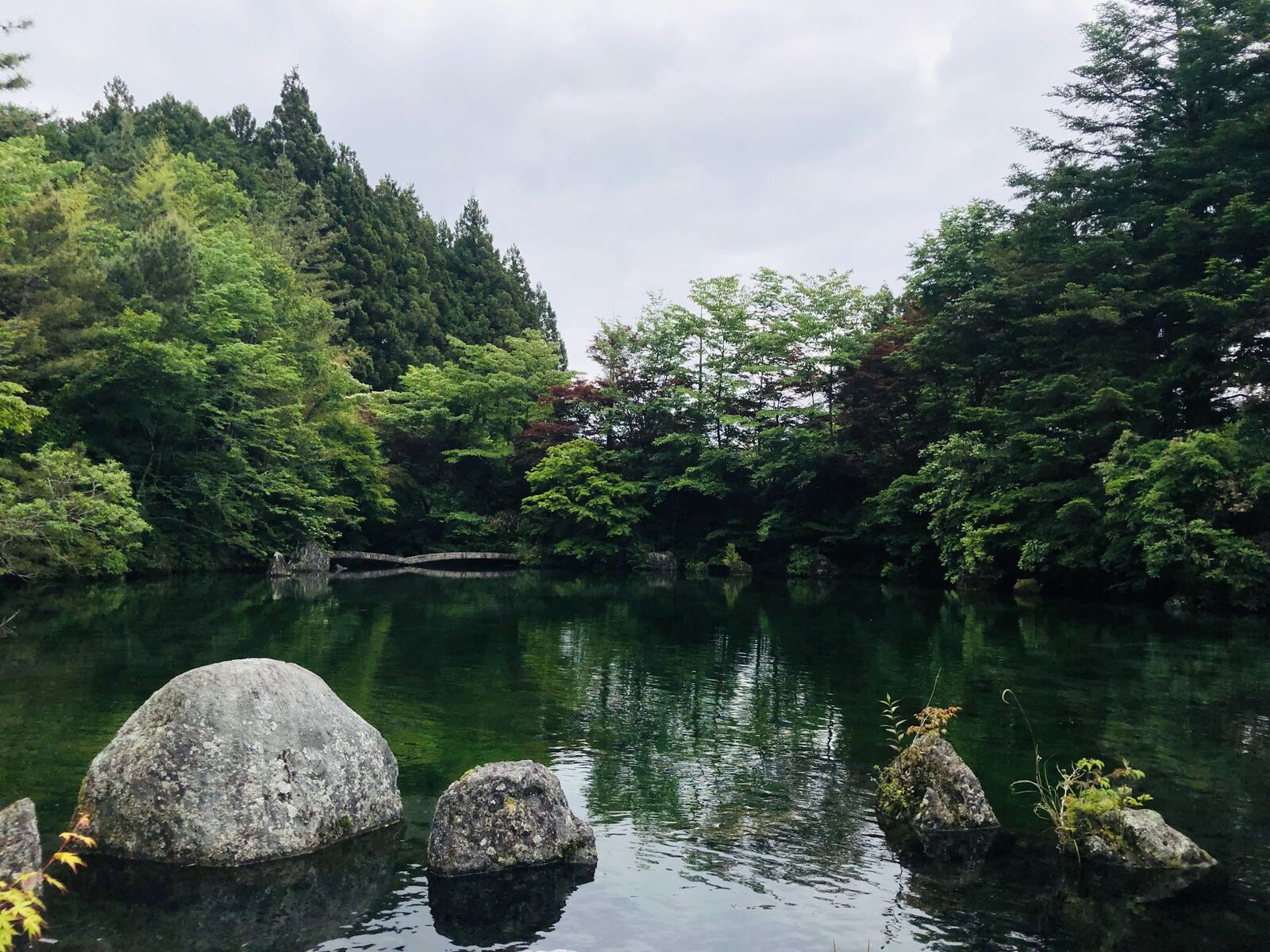富士山靜養園の湧水池